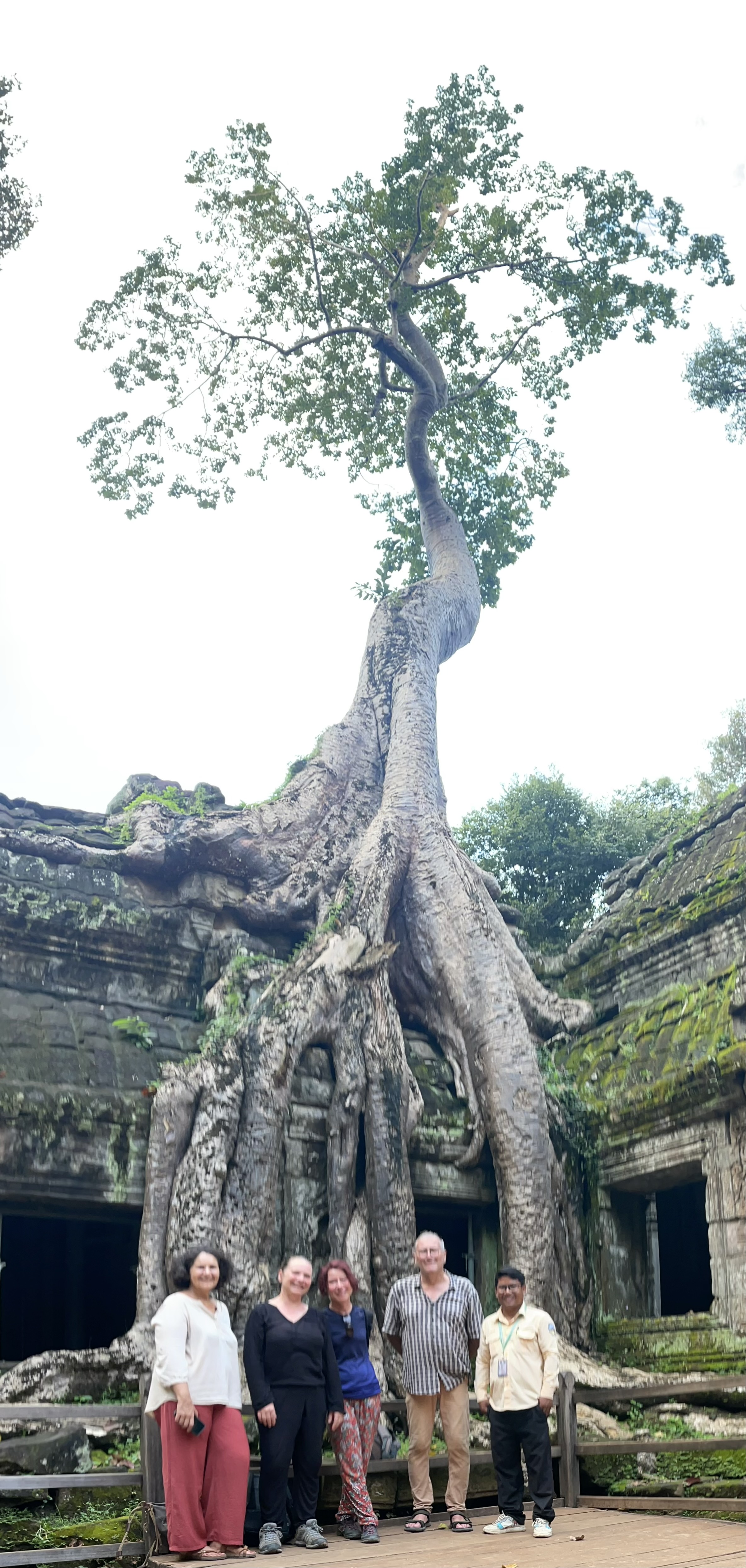 Circuit de trois à Siem Reap